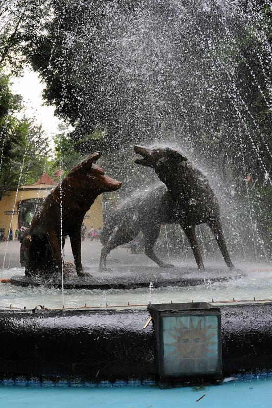 Ein Park im Stadtteil Coyoacan Ein Park im Stadtteil Coyoacan