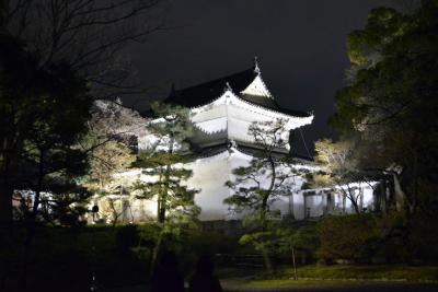 Schloss Nijo bei Nacht