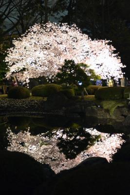 Nachbeleuchtung beim Schloss Nijo Nachbeleuchtung beim Schloss Nijo