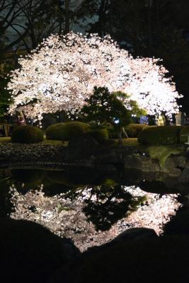 Nachbeleuchtung beim Schloss Nijo