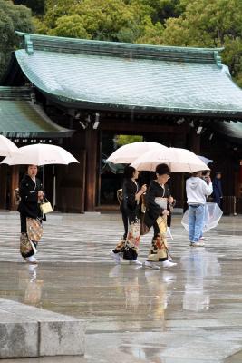 Regen am Meiji-Schrein