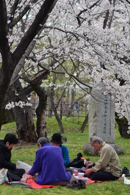 Hana-mi in Fukuoaka