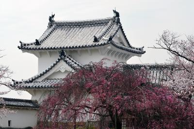 Einer der Türme im Schloss Himeji Einer der Türme im Schloss Himeji