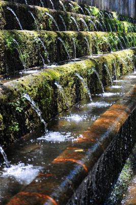 Im Nationalpark von Uruapan