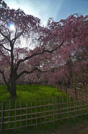 Im Park des Kaiserpalastes